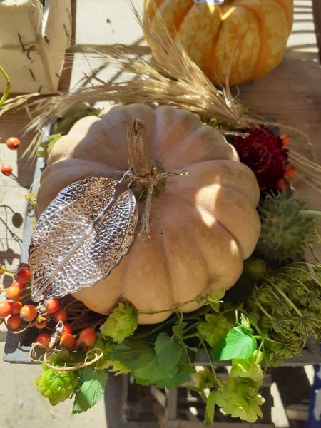 Herbstliche Floristik